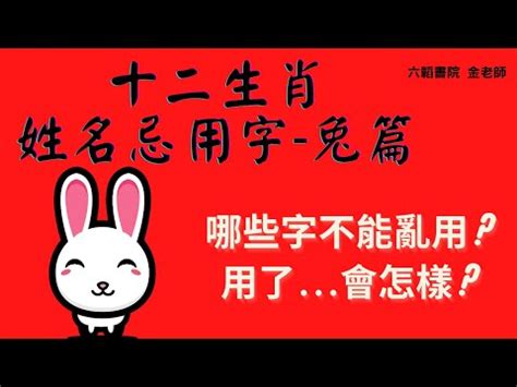 磁場頭暈 11劃的字屬兔